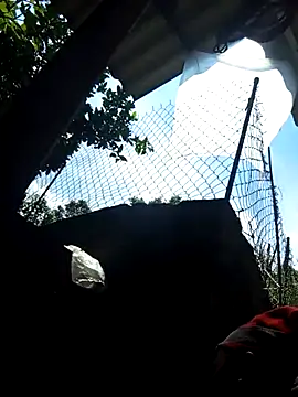 Snapshot of Bibilenu chatting on 10.05.25 Bibilenu online show from 10.05.25