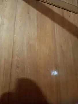 Snapshot of Bibilenu chatting on 10.31.25 Bibilenu online show from 10.31.25