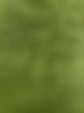 youyou933 online show from 09.12.25