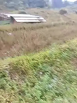 Phuongphuongg online show from 10.20.25