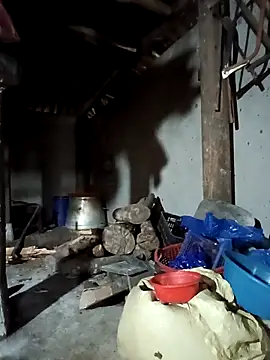 Exembin online show from 09.17.25