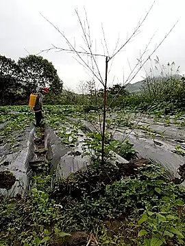 Exembin online show from 10.24.25