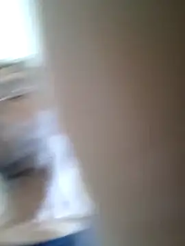 Siegfri3d   online show from 11.14.25