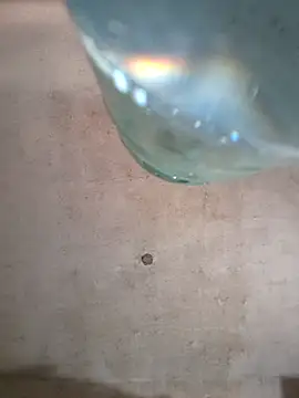 Sgaf39 online show from 10.06.25