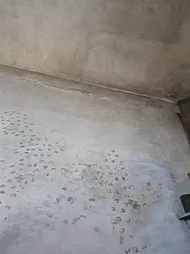 Sgaf39 online show from 10.20.25