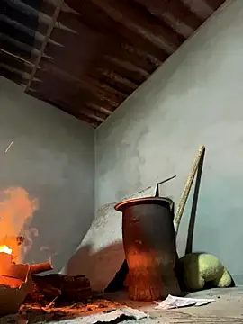 Sunny lotus online show from 12.15.25