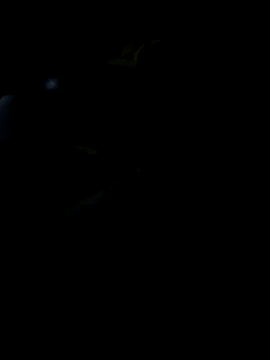 Snapshot of Reeelo chatting on 11.19.25 Reeelo online show from 11.19.25