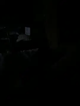 Snapshot of Reeelo chatting on 12.15.25 Reeelo online show from 12.15.25