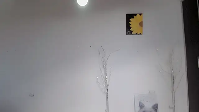 Stein  online show from 09.15.25