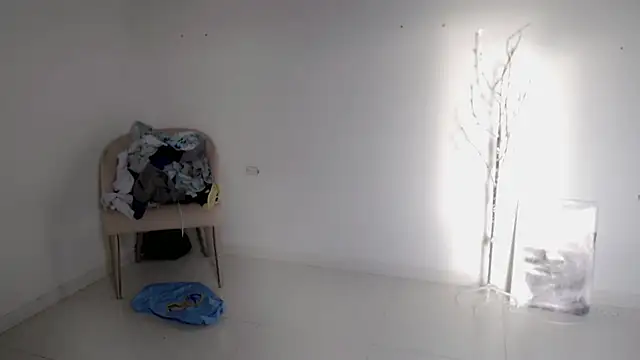 Stein  online show from 09.25.25