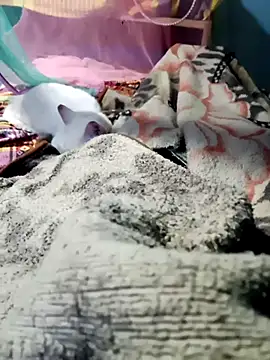 m11a2f3a4z5 online show from 02.14.26