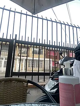 Sallem Pink online show from 01.17.26