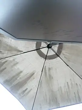 Sallem Pink online show from 04.04.26