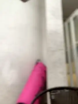 Sallem Pink online show from 04.08.26