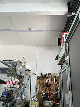 Terra-22cm online show from 04.07.26