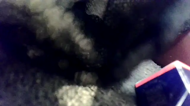 Snapshot of Evieskyy@xh chatting on 11.26.25 Evieskyyxh online show from 11.26.25