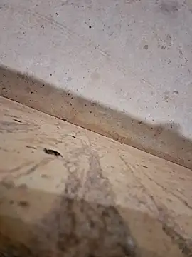 Negodabenga online show from 12.14.25