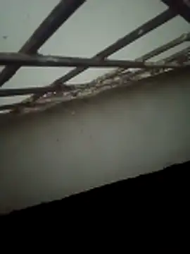 Daisygirl9 online show from 10.22.25