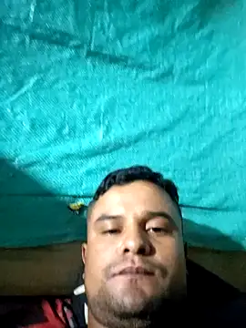 gomelo 19cm online show from 02.24.26