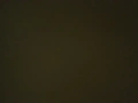 Snapshot of Quarentaoon chatting on 10.03.25 Quarentaoon online show from 10.03.25