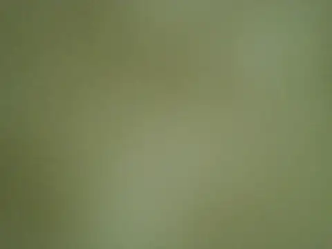 Snapshot of Quarentaoon chatting on 10.04.25 Quarentaoon online show from 10.04.25