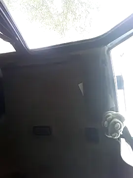 N i k o l a u online show from 09.29.25