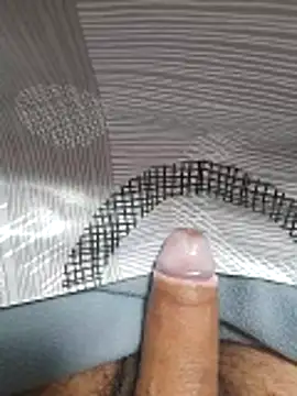 ratoncito 3 online show from 11.11.25