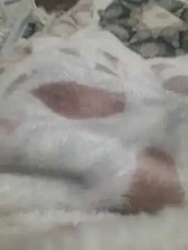 ratoncito 3 online show from 01.16.26