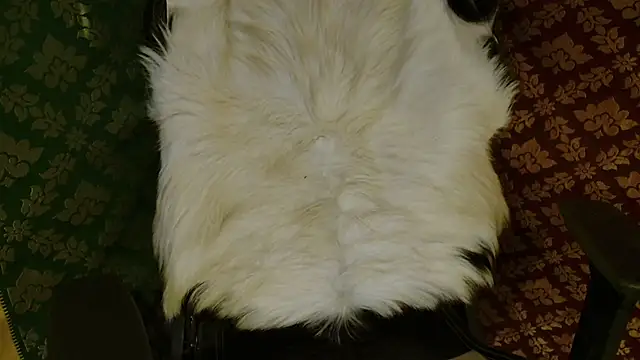 JUSTFORRICH online show from 04.20.26