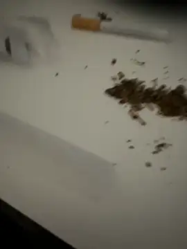 evawx9 online show from 03.19.26