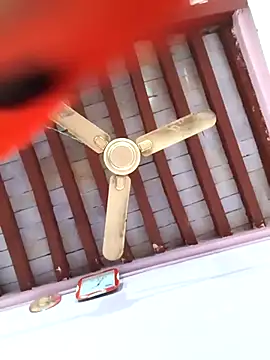 Love-pari077 online show from 02.05.26