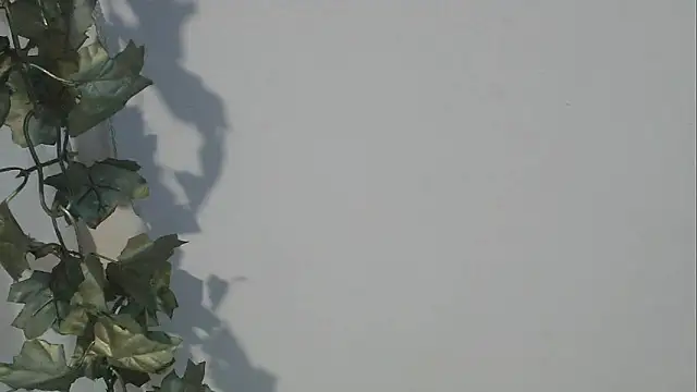 angelainparis28 online show from 10.05.25