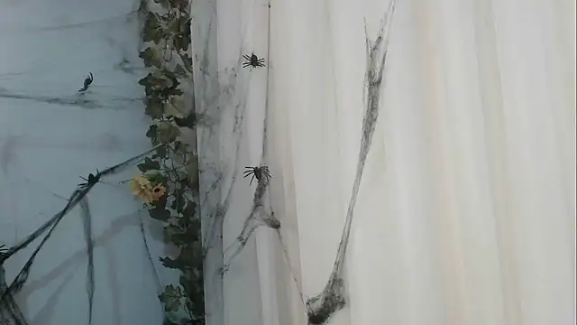 angelainparis28 online show from 10.21.25