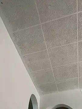 Snapshot of LICEET chatting on 09.25.25 LICEET online show from 09.25.25