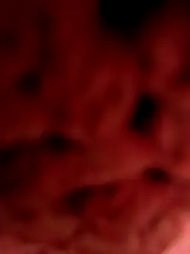 Gusttavotesudoxxvvc online show from 09.18.25