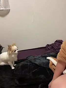 Snapshot of h415a812 chatting on 11.04.25 h415a812 online show from 11.04.25