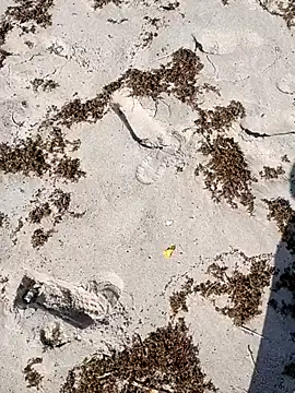 sarahkat86 online show from 10.04.25