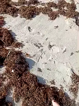 sarahkat86 online show from 10.09.25