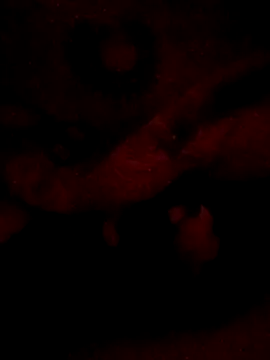 sarahkat86 online show from 02.20.26