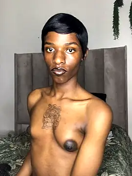 Snapshot of Trans_fairy chatting on 09.29.25 Trans fairy online show from 09.29.25