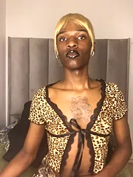 Snapshot of Trans_fairy chatting on 10.25.25 Trans fairy online show from 10.25.25