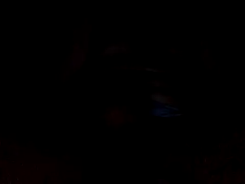 Snapshot of CaiBull chatting on 10.26.25 CaiBull online show from 10.26.25