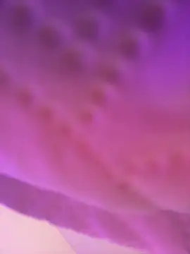 AmberMoss1 online show from 11.27.25