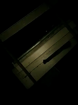 Snapshot of Czarnoksieznik chatting on 11.16.25 Czarnoksieznik online show from 11.16.25