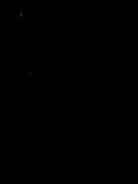 Snapshot of koukou322 chatting on 11.02.25 koukou322 online show from 11.02.25