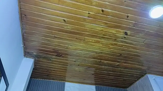 Bonnali lune online show from 04.19.26