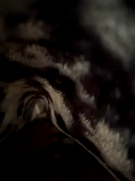 jackyw online show from 11.21.25