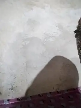 Snapshot of big_booty15 chatting on 10.05.25 big booty15 online show from 10.05.25