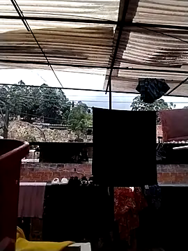 solpeich online show from 04.04.26