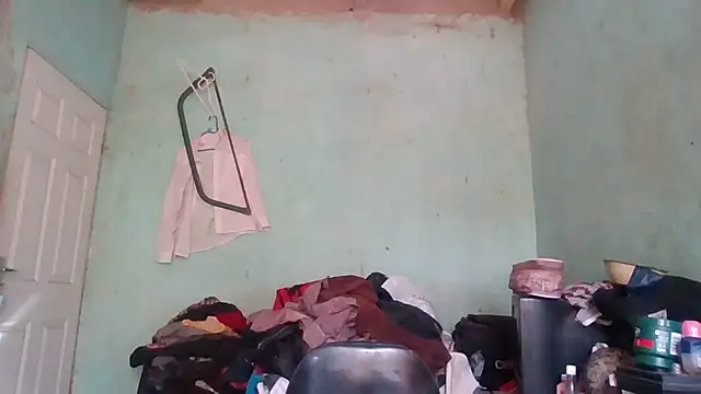 Nicky52 online show from 11.12.25